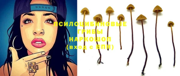 MESCALINE Покров