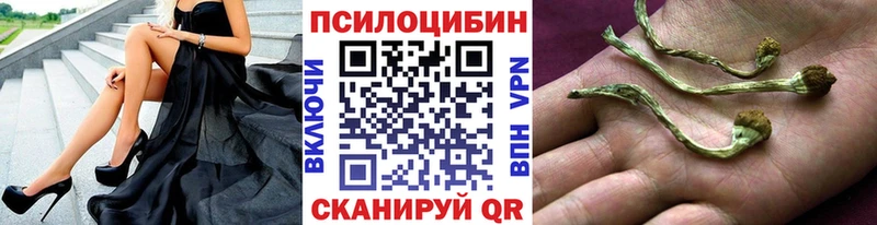 нарко площадка клад  Никольское  Галлюциногенные грибы мицелий 